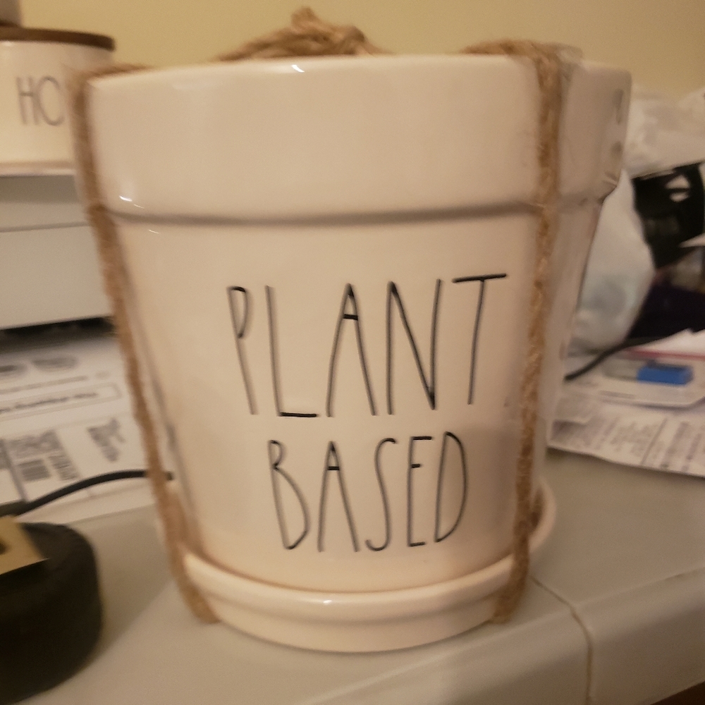 Rae Dunn planter